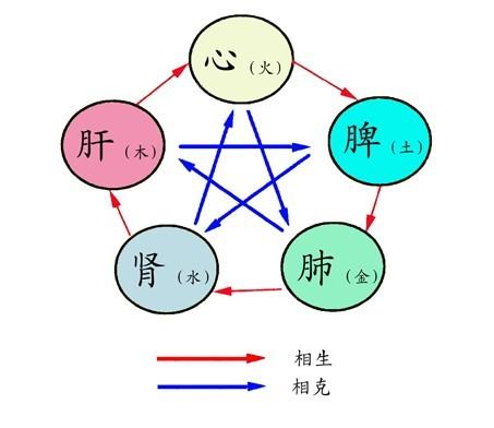 五脏相生相克图